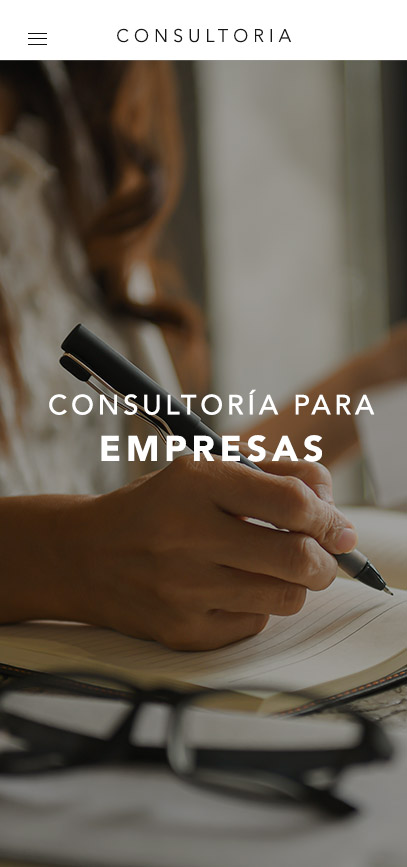 Diseño Web Empresas Consultoría